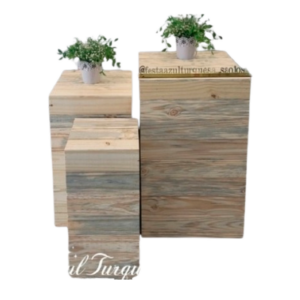 Pinus Trio de Cubos cru